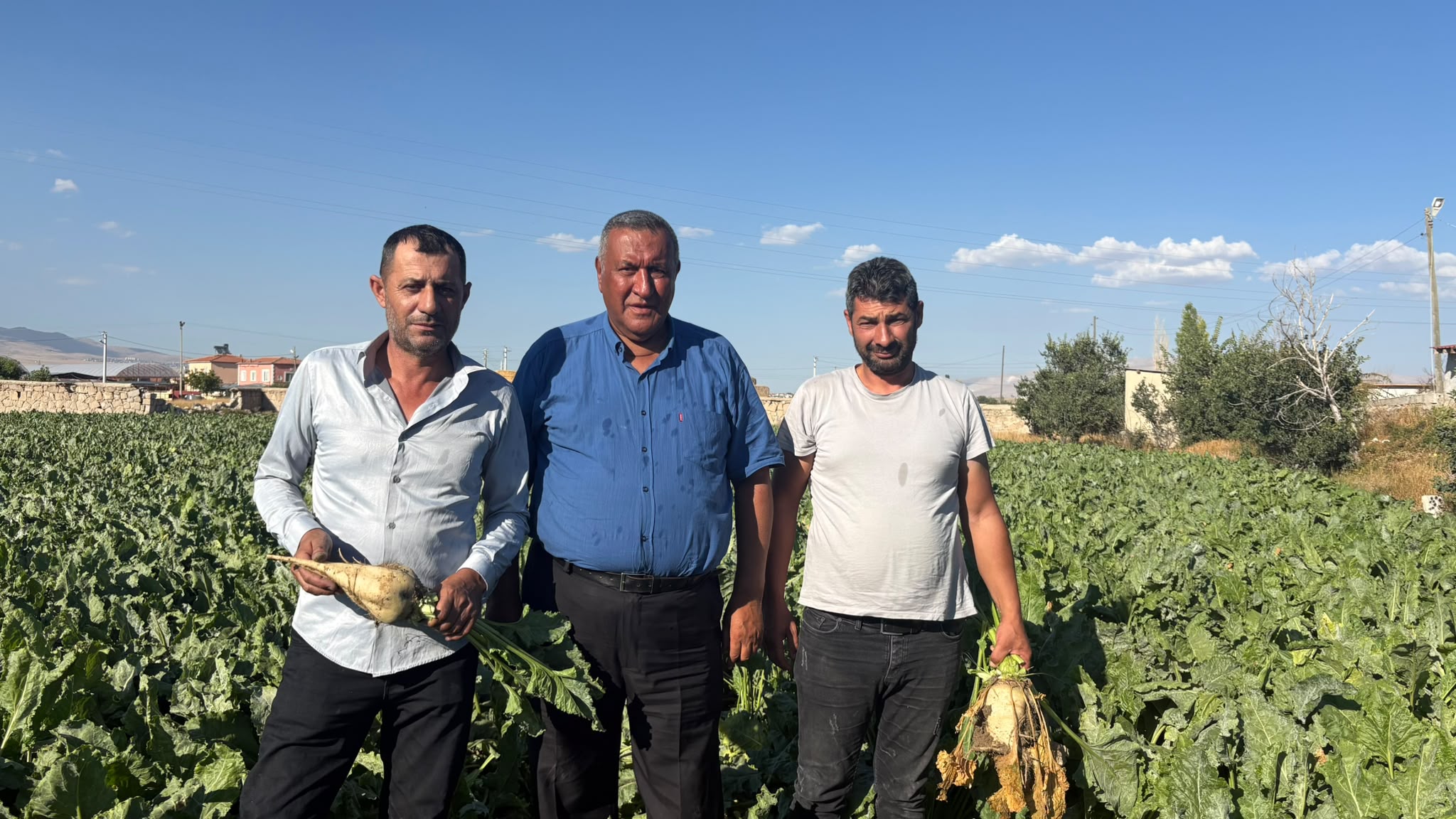 CHP'li Gürer’den pancar fiyatı çağrısı: Çiftçi en az 4 bin lira bekliyor