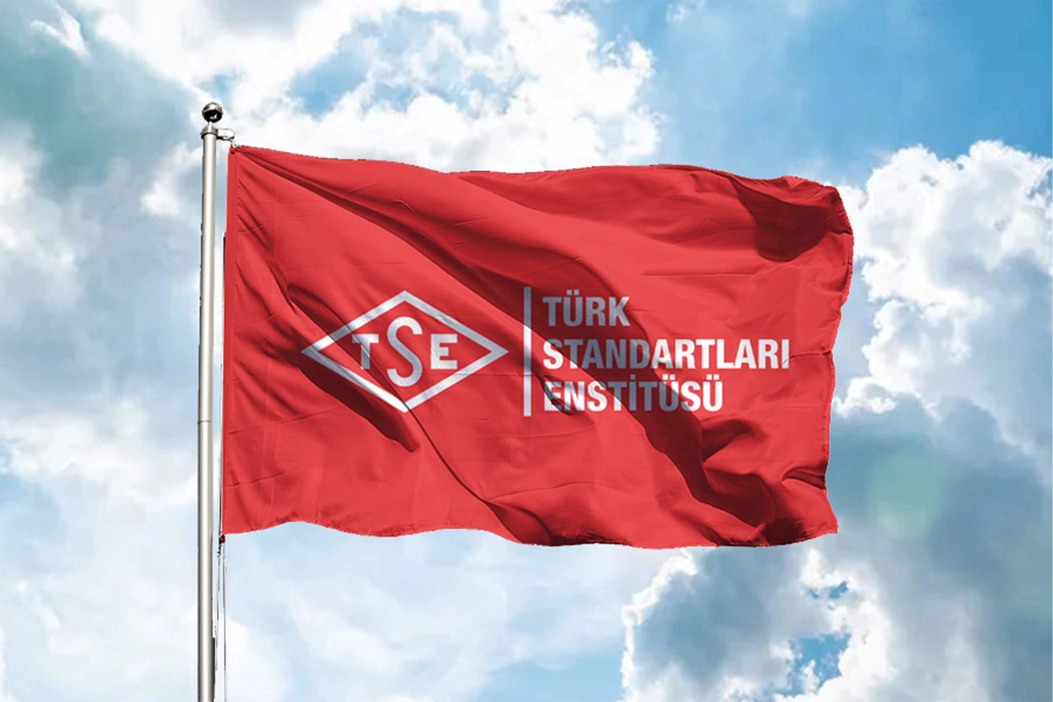 TSE’ye mal ve hizmet alımlarında özel usul