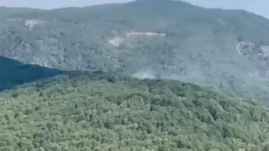 Edremit'te orman yangını kontrol altına alındı