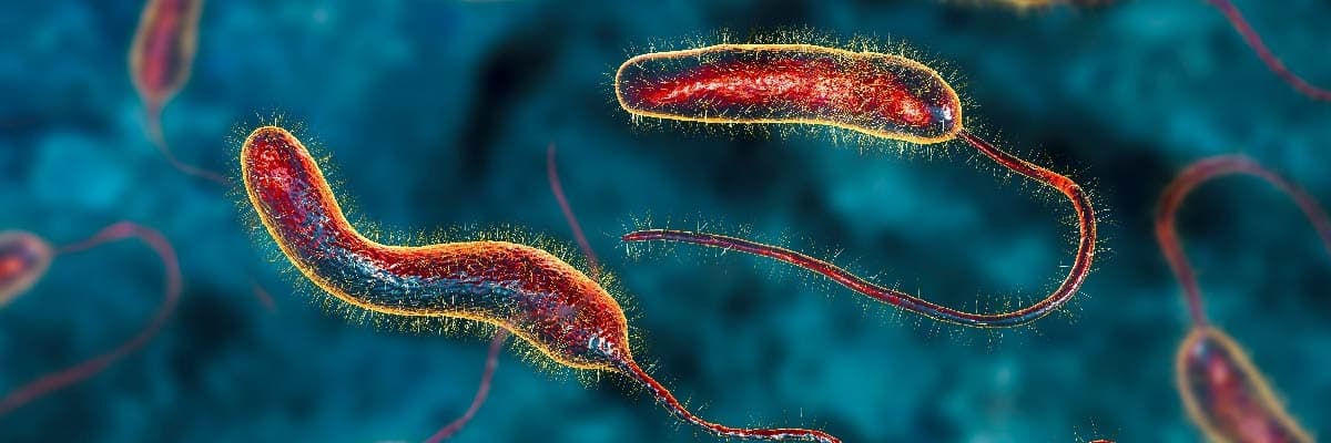 Nijerya’da kolera alarmı: 65 binden fazla şüpheli vaka