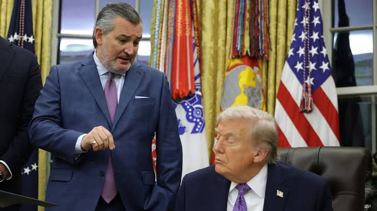 Ted Cruz’dan Trump’a çağrı: “İranlıları ve Kürtleri silahlandırın”