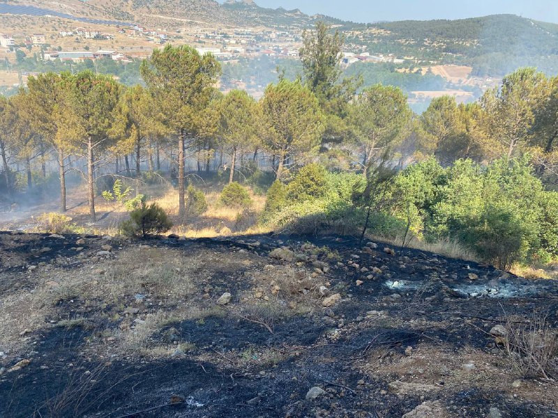 Kemer'de orman yangınına müdahale ediliyor