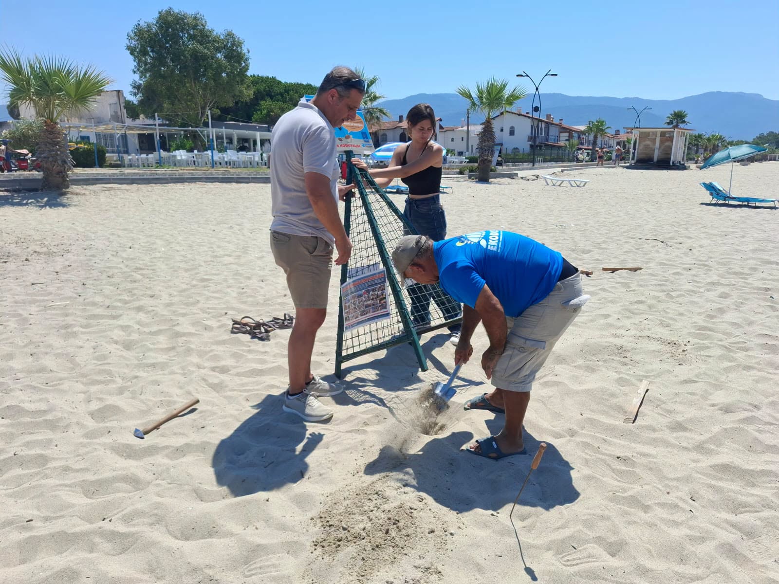 Kuşadası'nda 60 caretta yavrusu denize ulaştı
