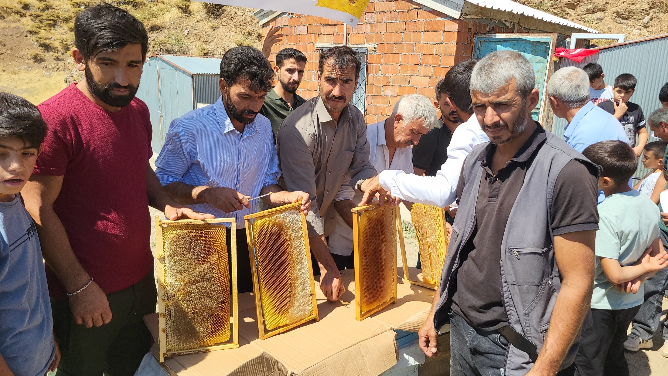 Bu balın sırrı doğasında! Adıyaman’da hasat başladı