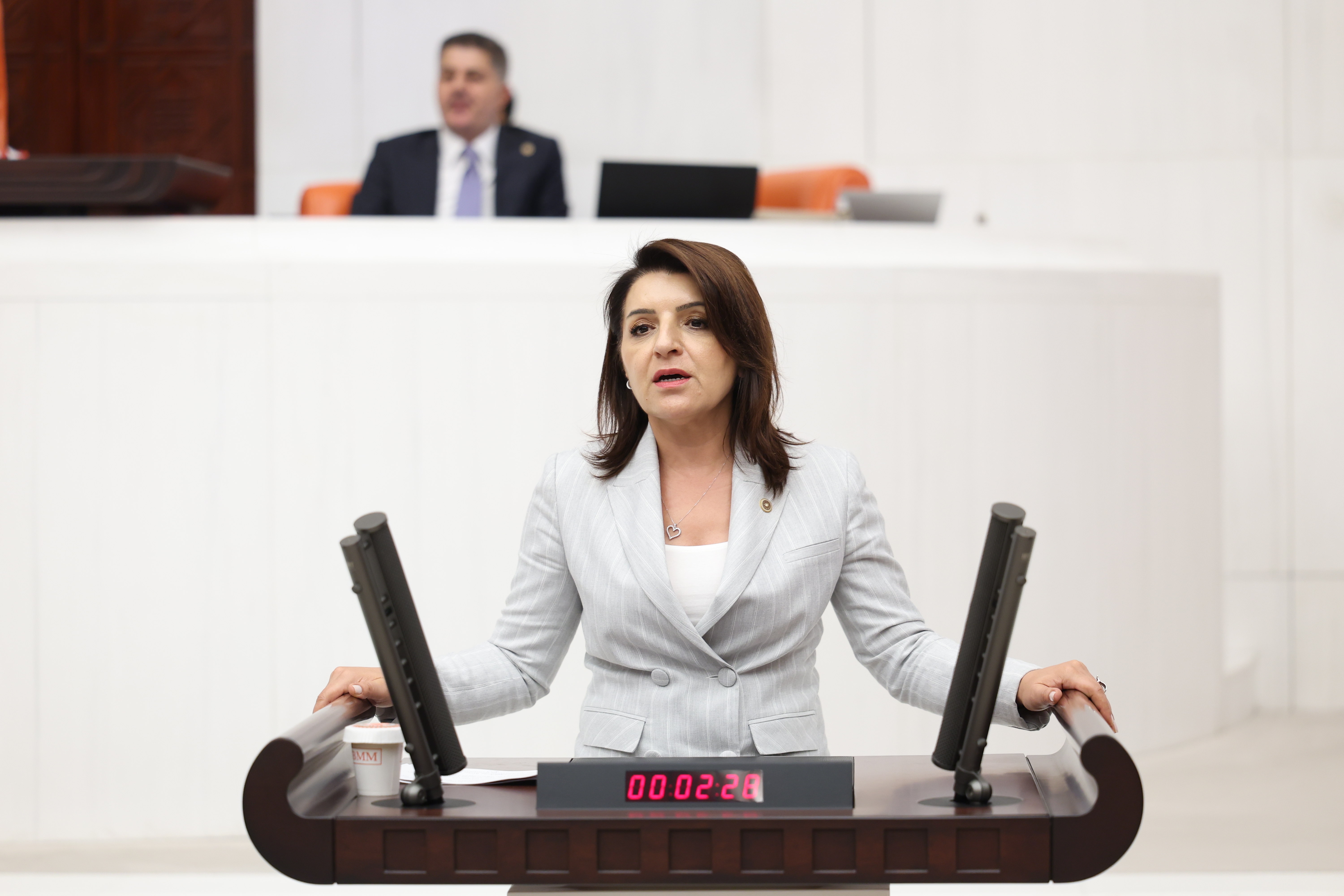 CHP’li Gülcan Kış’tan okul masrafı hesabı: Bir çocuğun kırtasiyesi 7 bin lira
