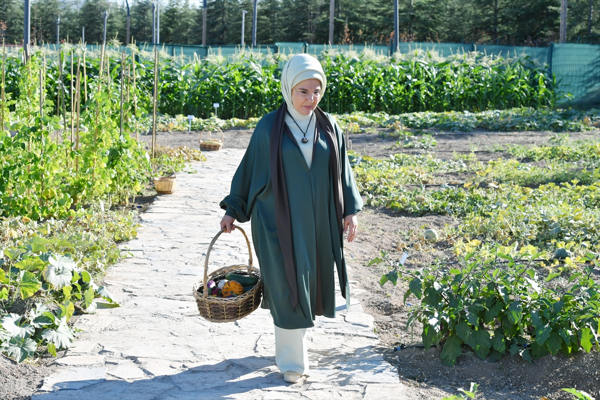 Emine Erdoğan Milli Botanik Bahçesi’nde ata tohumlarını inceledi