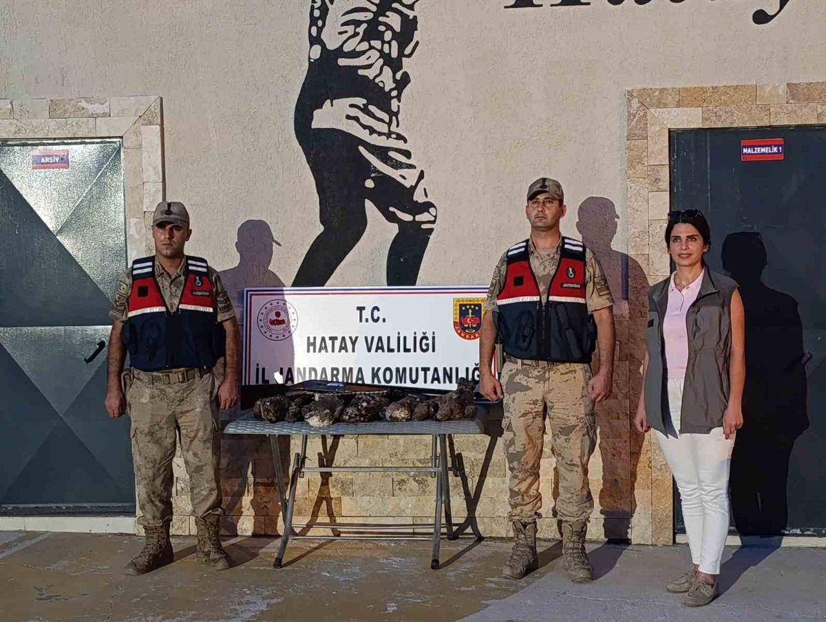 Hatay’da 7 arı şahini avlayana 1,3 milyon TL tazminat
