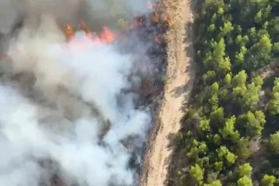 Serik’te orman yangını: 20 hava aracı, 450 personel sahada