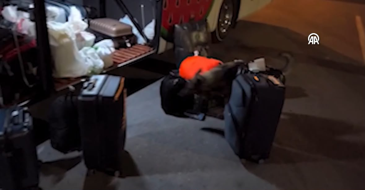 Şanlıurfa girişinde otobüse uyuşturucu baskını