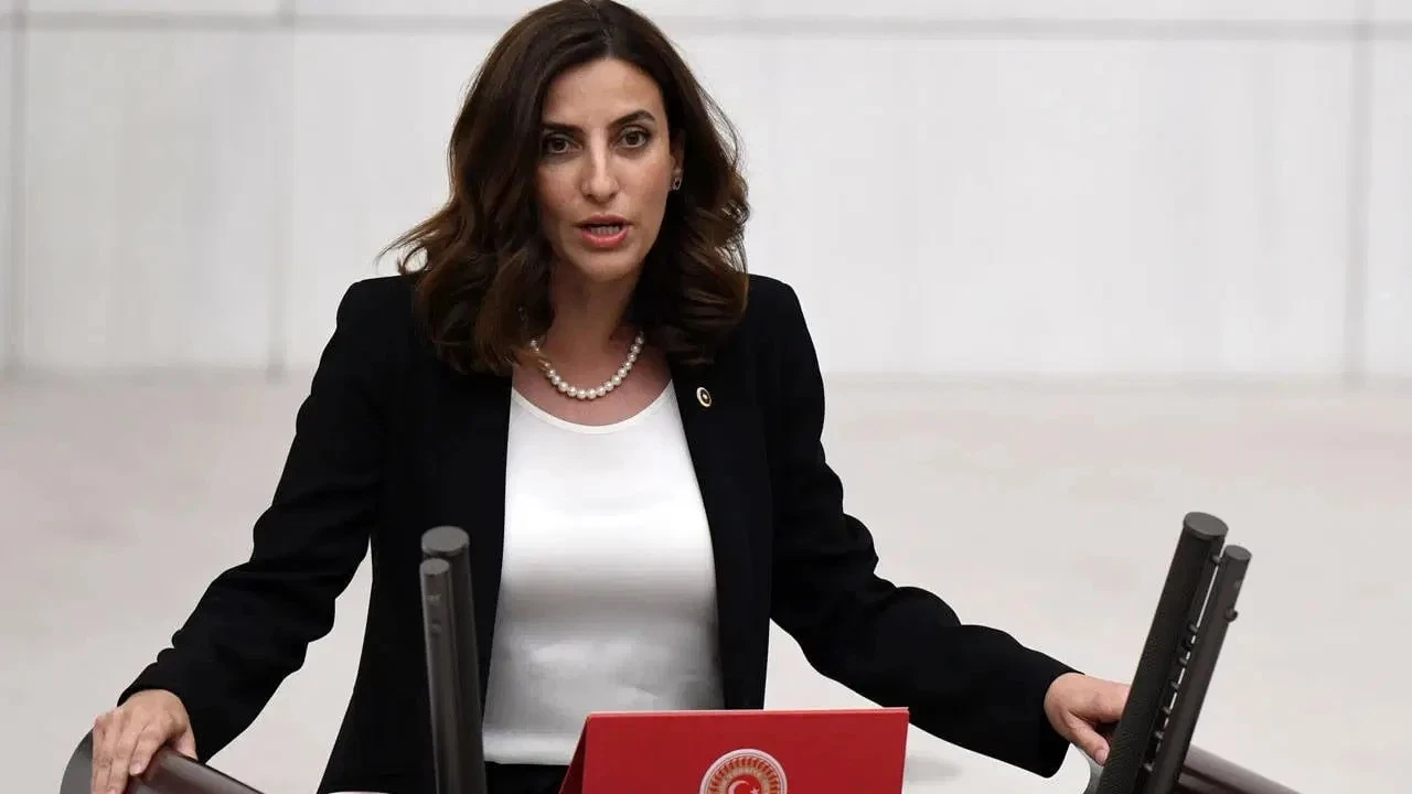 Yeni Partil'i Rızvanoğlu’ndan 27 ilde orman kararı tepkisi: Bir gecede arsa oldu