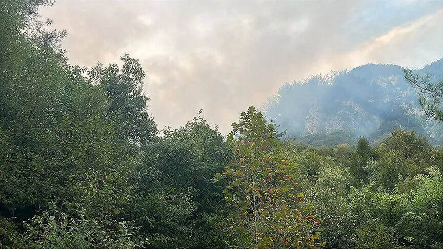 Hatay Dörtyol'da çıkan orman yangını kontrol altına alındı