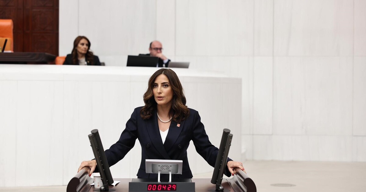 YENİ Partili Rızvanoğlu: 131 fondaki para, köprü ve otoyollardan beklenenin 5 katı
