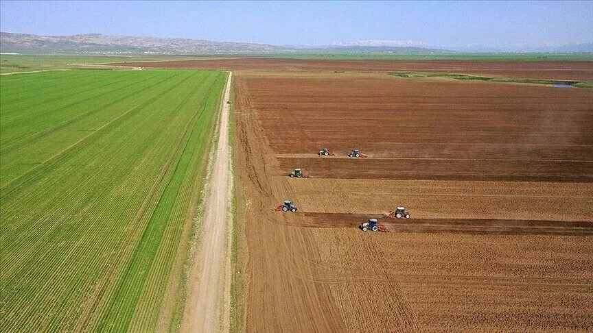 Tarımsal girdilerde temmuz tablosu: Gübre ve toprak geliştiriciler öne çıktı