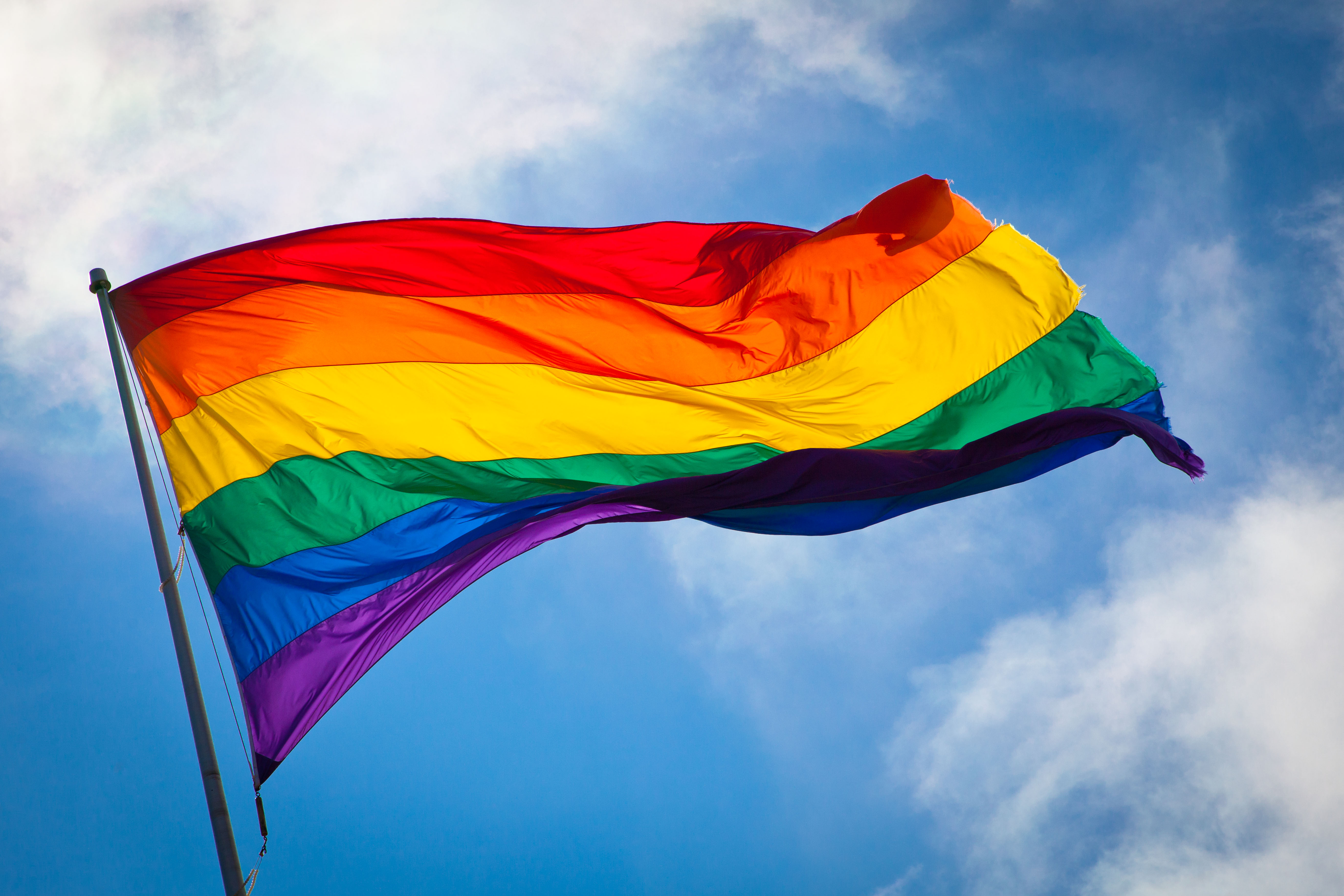 Dünya çapında 450'yi aşkın örgütten Türkiye'ye çağrı: “LGBTİ+ hareketini kriminalize etmeyin”