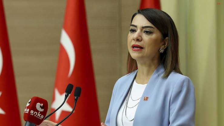 Yeni Partili Taşcıer’den MESEM eleştirisi: Yoksul çocuğun önüne erken işçilik konuluyor