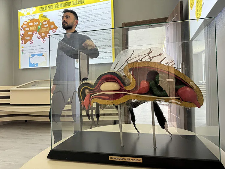 Kafkas Arı Müzesi'ne yoğun ilgi: 2 yılda 4 bin 600 ziyaretçi ağırladı