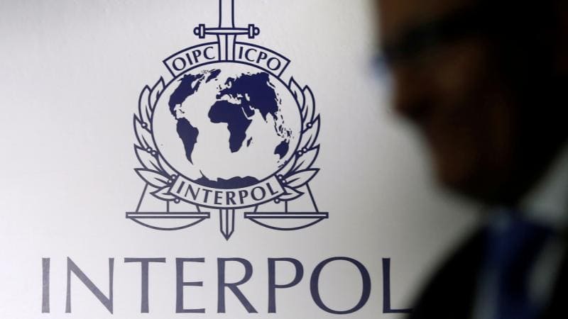 Interpol 9 ülkede çevre suçlarına operasyon düzenledi