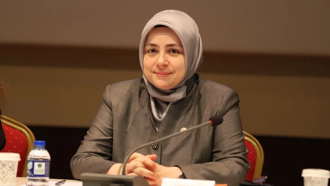 AK Partili Ercan'dan Dünya Kız Çocukları Günü mesajı