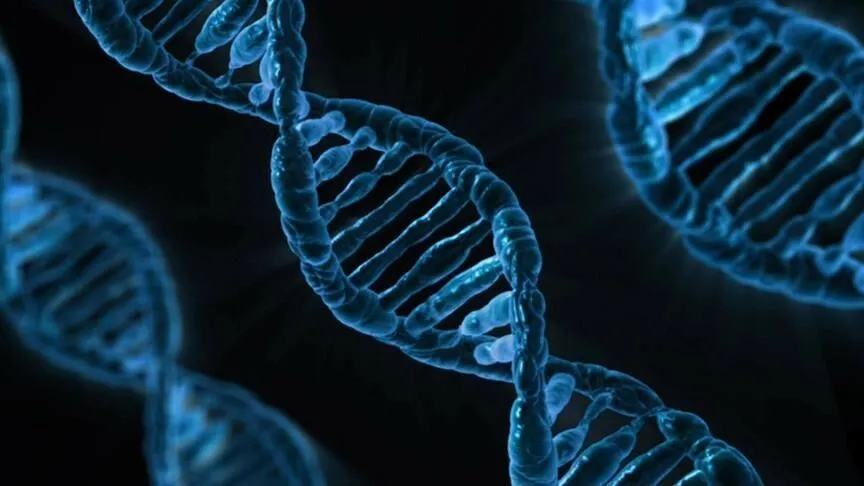 İnsan genomunda yeni dönem: 9 milyar DNA değişikliği yapay zekâyla analiz edildi