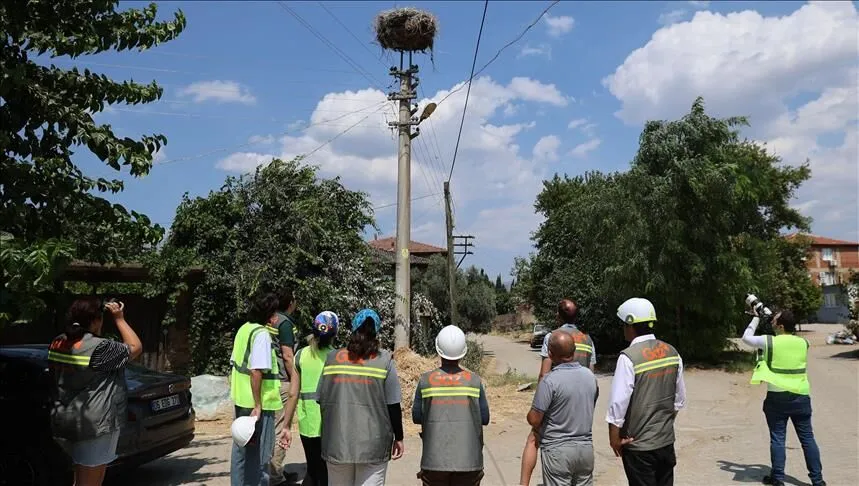 Göçmen kuşların rotası GPS ile takip edilecek