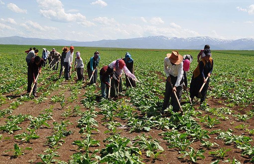Çiftçiye yeni güvence! TARSİM’de kapsam genişliyor