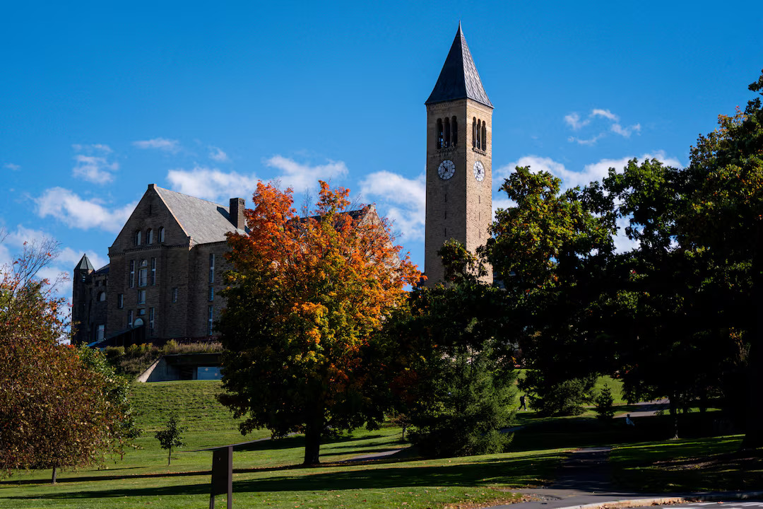 Cornell'de toplu tecavüz iddiası: İlk soruşturma neden kapandı?