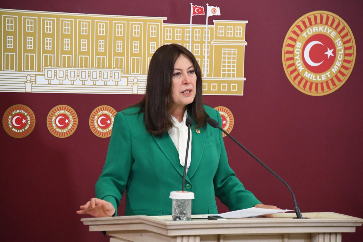 Zeytin dalında kaldı, hesap Meclis'e taşındı! “Bu üretici ne yapsın?”