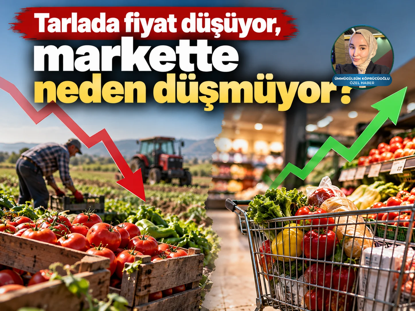 Tarlada fiyat düşüyor, markette neden düşmüyor?
