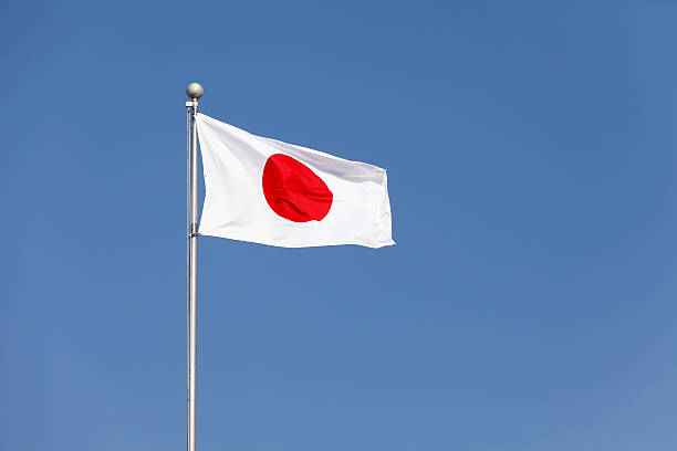 Japonya'da nükleer santralde radyoaktif sızıntı! Reaktör kapatılacak