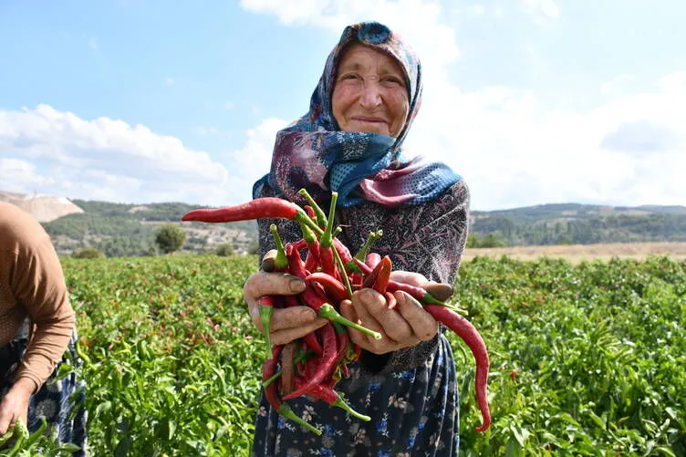 Bilecik'te 5'inci Çukurören biberi festivali yapıldı