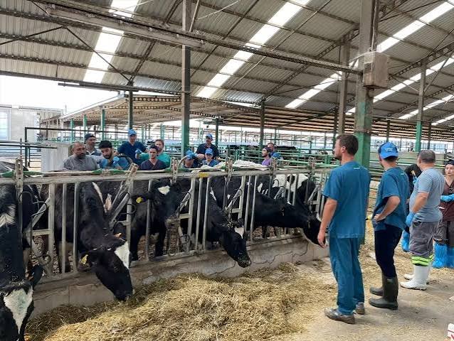Hayvancılıkta yeni adım! Edirne'de eğitim başladı