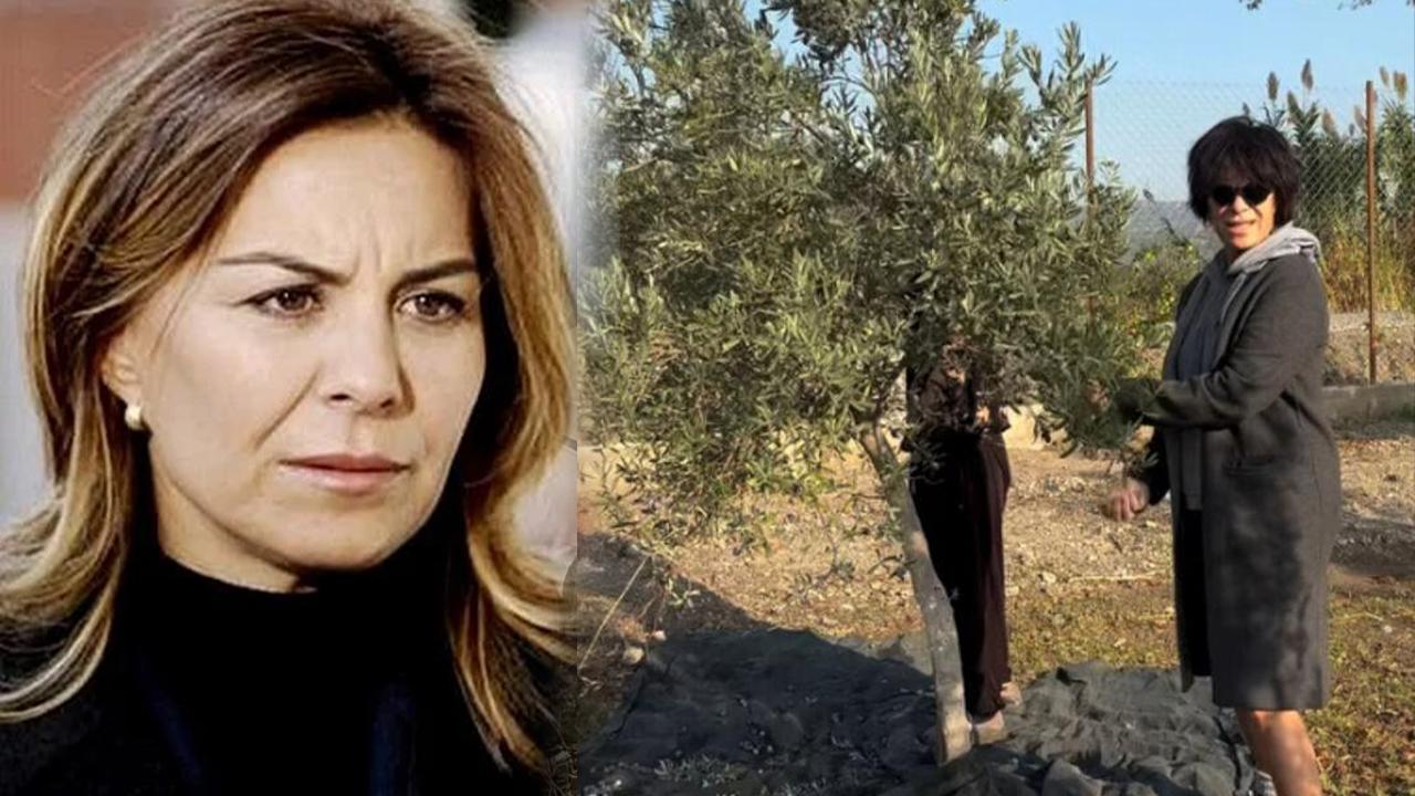 Arka Sokaklar'ın yıldızı şimdi zeytin üreticisi oldu