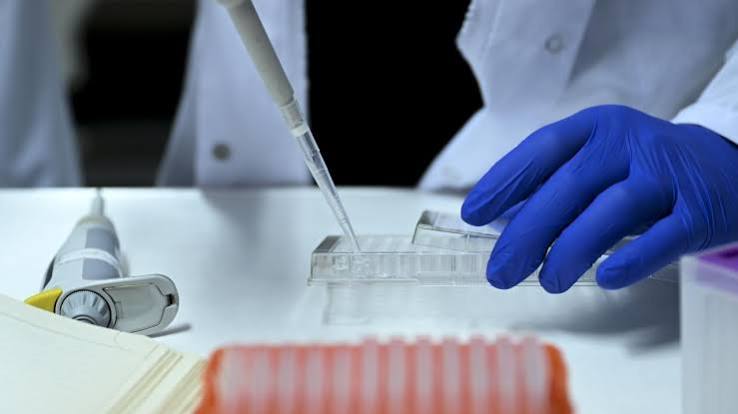 Yasa dışı üreme hücresi soruşturmasında yeni adım