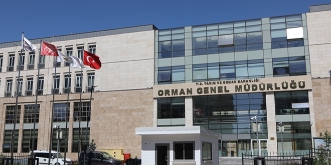 Orman Genel Müdürlüğü 12 personel alacak! İşte şartlar