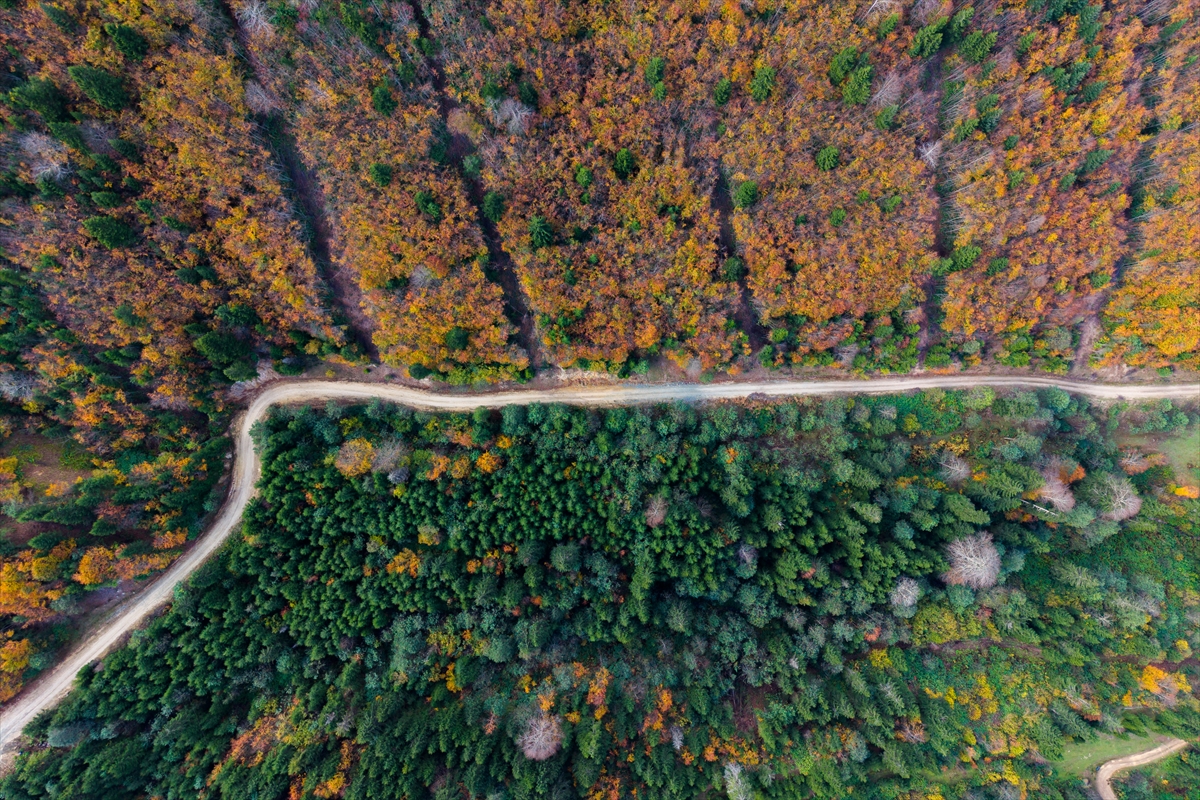 Trabzon'da sonbahar güzelliği